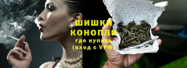 гидра Богданович