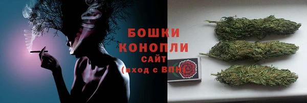 гидра Богданович