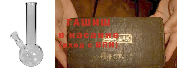 гидра Богданович