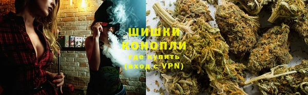 гидра Богданович