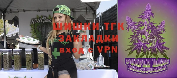 гидра Богданович
