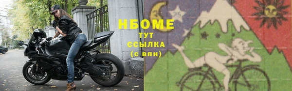 гидра Богданович