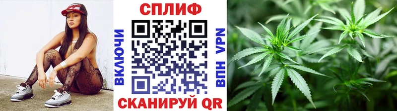 Бошки марихуана Amnesia  Шумиха 